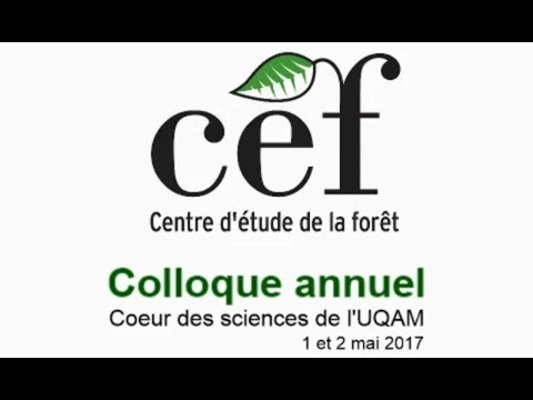 Colloque du CEF 2017 - Jour 2 - I - Klaus Puattmann