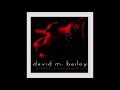 David M. Bailey - You'll Never Know