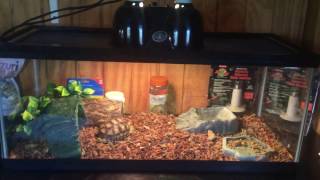 Why You Should Always Check Craigslist