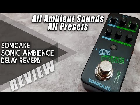AWESOME Budget Mini DELAY-REVERB | SONICAKE Sonic Ambience | VIDEO REVIEW [NO TALK]