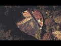 Marconi Union - Silence Is Gliding (Official Music Video)