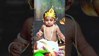 Download lagu Our household Krishna 🤩🥰 #lookatthat #krishnanbaby #babykrishnan #prashanthjho mp3