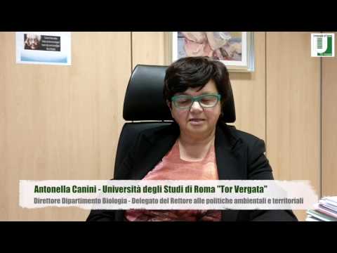 La Scienza a #unitorvergata è donna!  Prof.ssa Antonella Canini