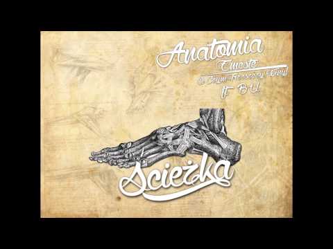 5. Emeste x O.C.T.W - Ścieżka feat. Bu (Anatomia LP)