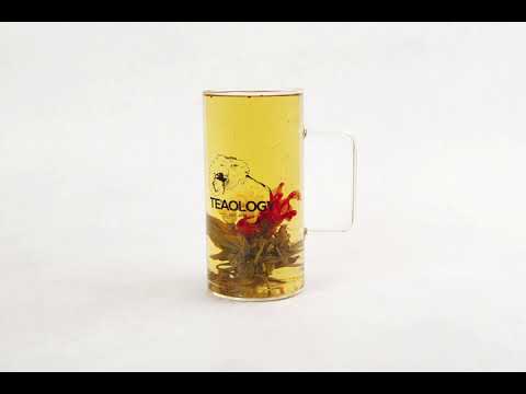 Launching of the best bubble tea brand in Oslo