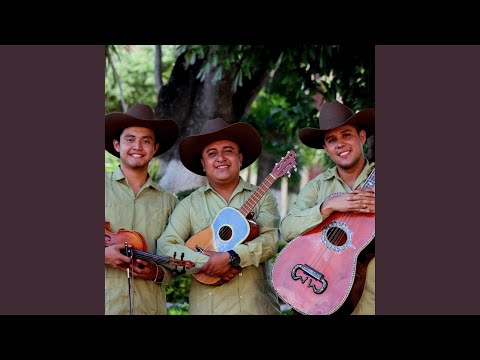 Voy a quererte tanto