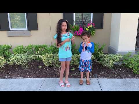 Gisella Reviews It All #4: Watermelon Airheads