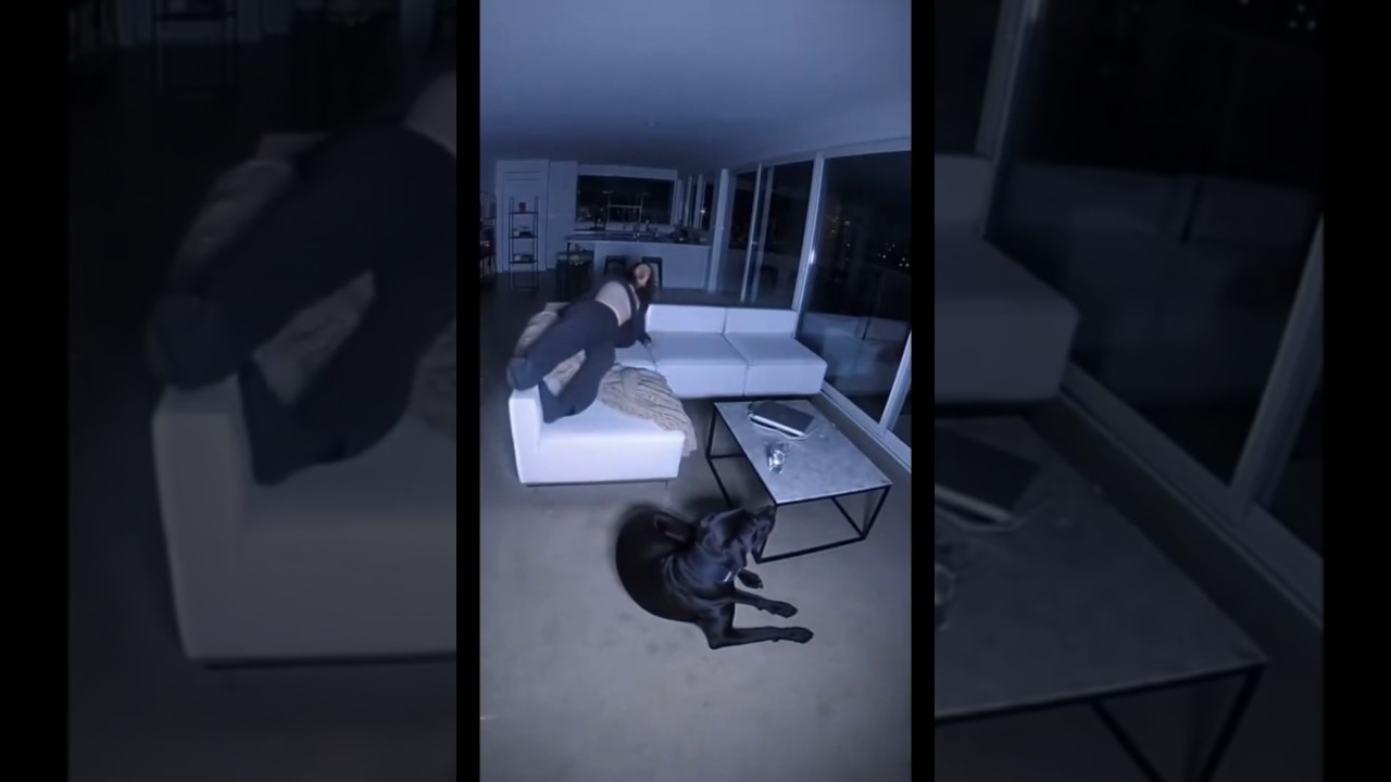 防犯カメラが捉えた誰にも説明できない現象  #horror #隠れ鬼 #恐怖 #おばけ #ghost #心霊スポット #ミステリーハンター #怪現象 #ホラー