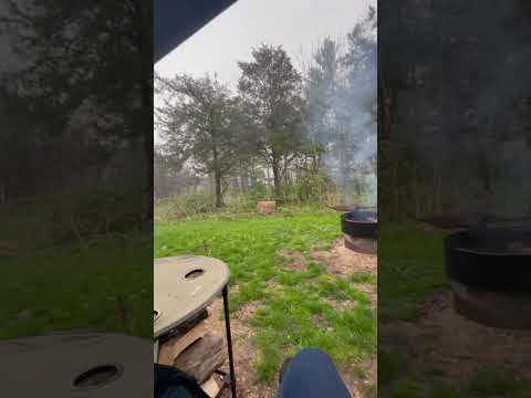 Site # 31 - Rainy campfire
