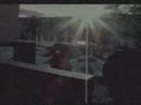 Darkthrone - Too Old Too Cold 