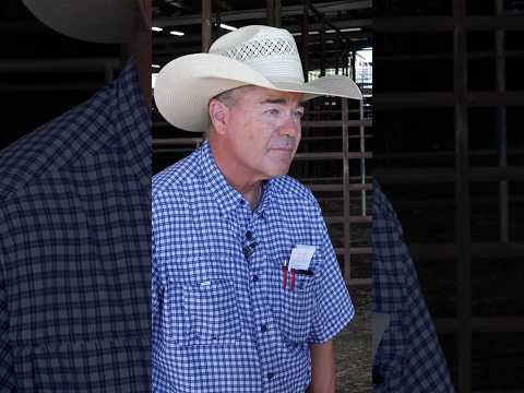 Texas cattle ranchers react to foreign beef imports
