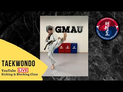 Taekwondo LIVE Class - Kicks and Blocks thumbnail