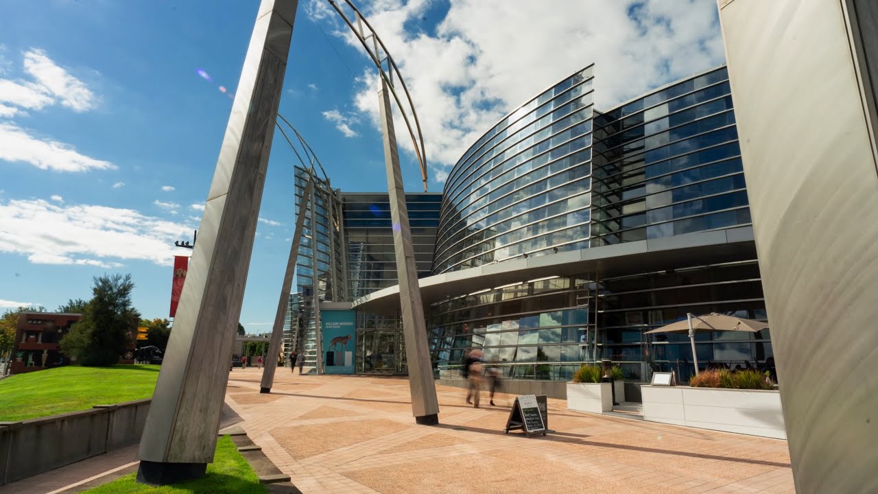 Explore the striking contemporary art at Christchurch Art Gallery