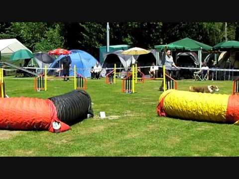 DSV Verbandsmeisterschaft 2013 Wesel