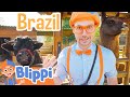 Blippi Visits A Petting Zoo In Brazil Educational Animal Videos For Kids