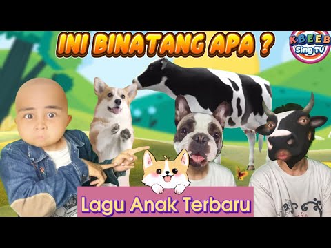 Ini Binatang Apa ? lagu Anak Lucu Terbaru - KBeeb #laguanak #suarabinatang #tebakbinatang