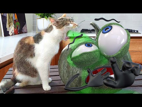 Secret Life of Things - Real Life Doodles Compilation | 3D Doodland #83