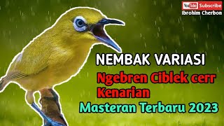 Download lagu MASTERAN TERBARU 2023||PLECI NEMBAK VARIASI NGEBREN CIBLEK GUNUNG CERR KENARIAN mp3