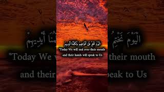 Download lagu Ketika Tangan Berbicara dan Kaki Bersaksi #allah #pengingat #perdamaian #saluranketenanganpikiran #tenang #quran #celanapendek mp3
