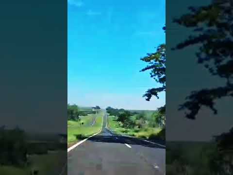 PINDORAMA ATÉ CATANDUVA🛣️🚙🌎#shorts #short #shortvideo #saopaulo #uber #trucking