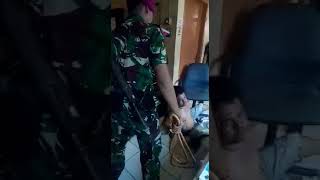 Download lagu Dicambuk TNI (Mulut Mu Harimau Mu) mp3