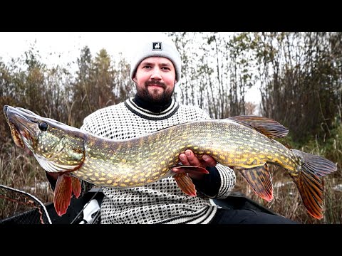 KALASSA KALIMEENOJALLA - ETSITÄÄN ENNÄTYSHAUKEA