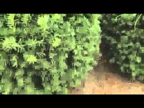 Facebook Posts Reveal Plot To Attack Parkway Central