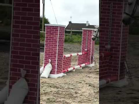 WhatsApp Video 2022 05 22 at 3 17 52 PM 1