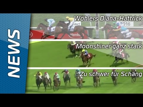 Sport-Welt TV News - 8.8.2016