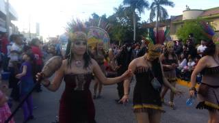 preview picture of video 'Carnaval Guamúchil 2014 2a parte'