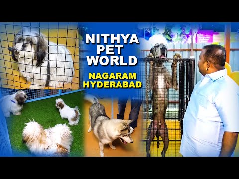 Nithya Pet World - Nagaram