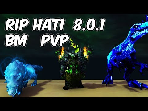 Rip Hati - 8.0.1 Beast Mastery Hunter PvP - WoW BFA