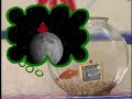 Noggin Presents Dorothy S Sky Imagination Elmo S World