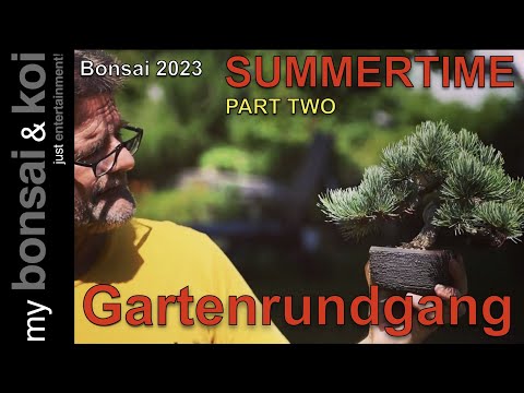 Bonsai 2023-38 - SUMMERTIME PART TWO - Garden tour with visit