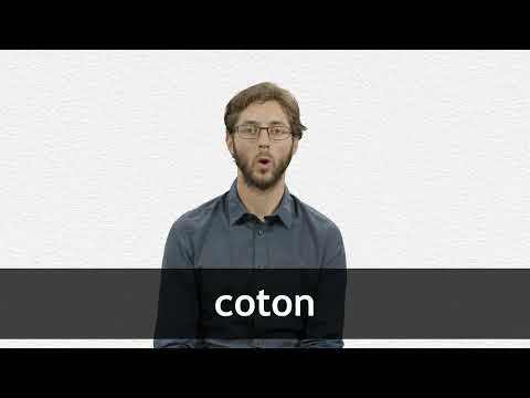 Culture du coton: Comprendre ses contraintes et ses étapes