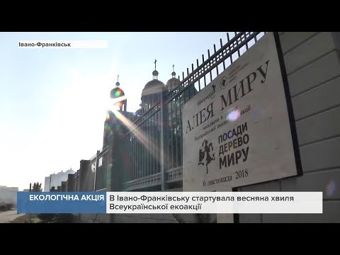 Юних франківців запрошують здати макулатуру, щоб зберегти дерева. ВІДЕО