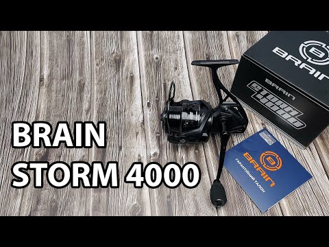 Розпаковка: Котушка Brain Storm 4000