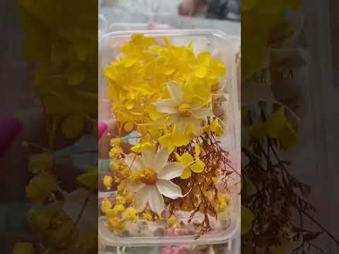 25 gm natural dried flower