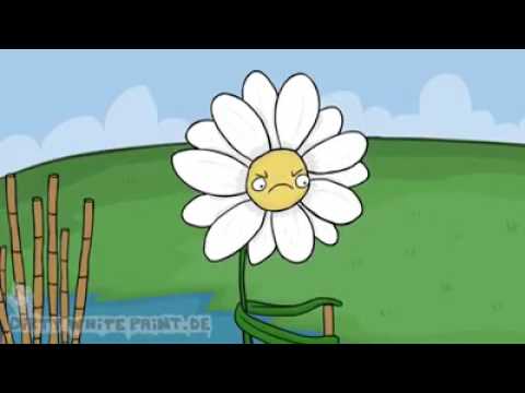 Ich bin eine Biene! ( du wirst gefickt!:(