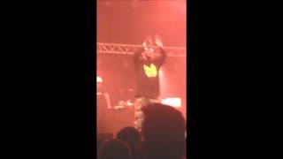 Method Man & Redman - Dat's Dat Shit (Wu-Tang Clan Representing) [Live @ WOO HAH! Festival Tilburg]