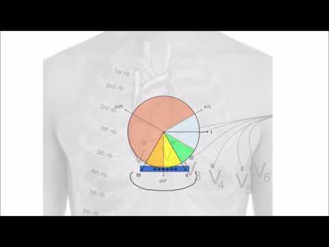 Exkurs: EKG-Vektoren