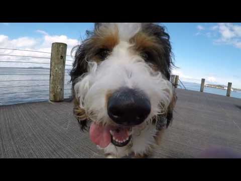 Benji Blades to Alki