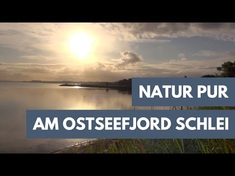 Nachhaltigkeit am Ostseefjord Schlei - Urlaub in Schleswig-Holstein - Christoph Karrasch - Vlog #21