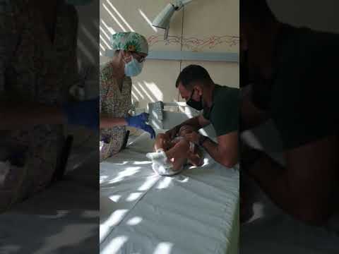 Obrazek poglądowy filmu YouTube