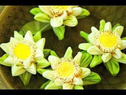 Heritage Hotel Brandy Blues, Cambodia