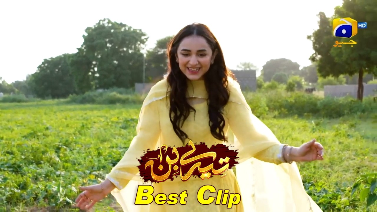 Tere Bin | Best Clip 04 | Yumna Zaidi - Wahaj Ali || Har Pal Geo