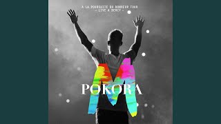 Pas sans toi (Live Bercy 2012)