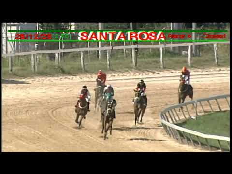 Arima Race Club - Day 12 December 26th 2025 Race -4