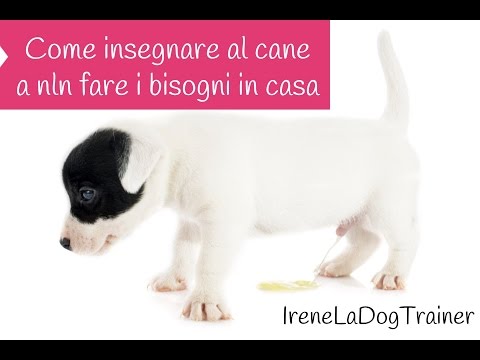 Come prendere cantarelli da parassiti Come eliminare vermi un appezzamento