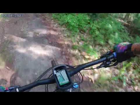 Noanet Woodlands downhill MTB 1